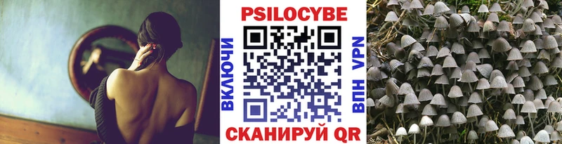 darknet формула  Ленинградская  Галлюциногенные грибы мухоморы 